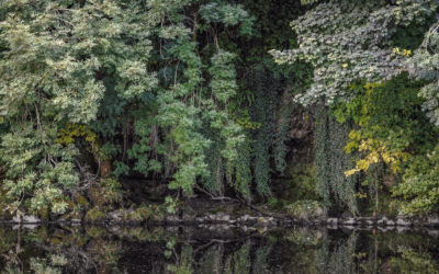 THE NATURE OF PLACE | Joseph Wright