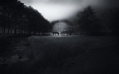 TOWARD THE SUN | Rob Hudson