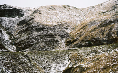 GAP IN THE HEDGE | Dan Wood