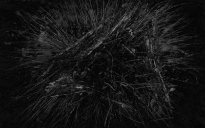 MAMETZ WOOD | Rob Hudson