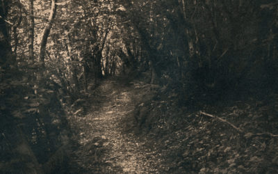 MASS PATHS | Caitriona Dunnett