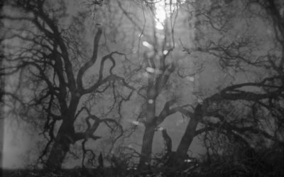 WHERE YOU ARE | J. M. Golding