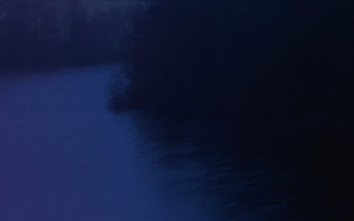 FOG | Fleur Olby