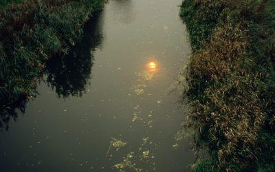 ALONG AN OLD RIVER  | Justin Partyka